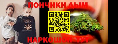 мдпв Кингисепп