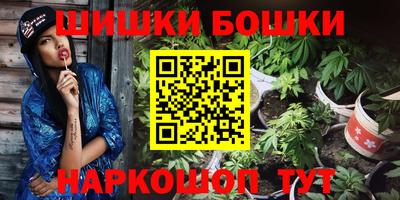 прущие грибы Камышлов