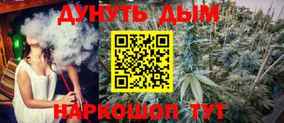 прущие грибы Камышлов